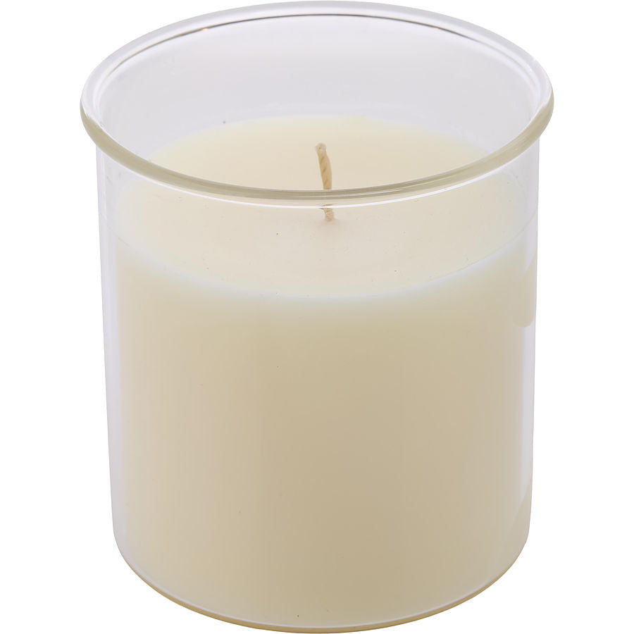 Candied Cinnamon By Northern Lights for Unisex. Esque Candle Insert 9 oz | Perfumepur.com