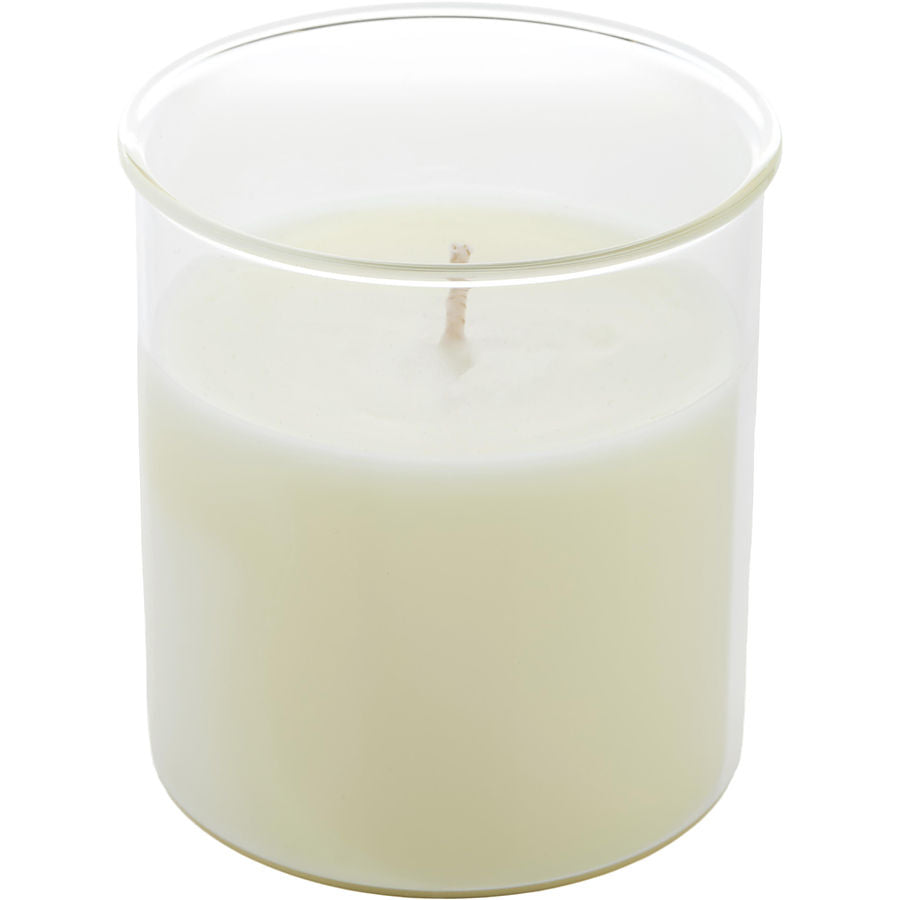 Celeste Fig & Melon By Northern Lights for Unisex. Esque Candle Insert 9 oz | Perfumepur.com